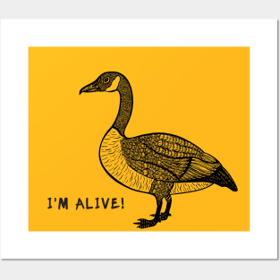 Canada Goose - I'm Alive! - meaningful bird lovers design Posters and Art